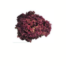 product-08