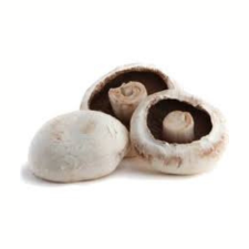product-08