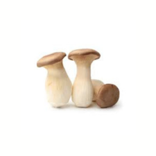 product-08