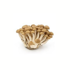 product-08