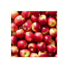 product-08