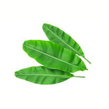 product-08