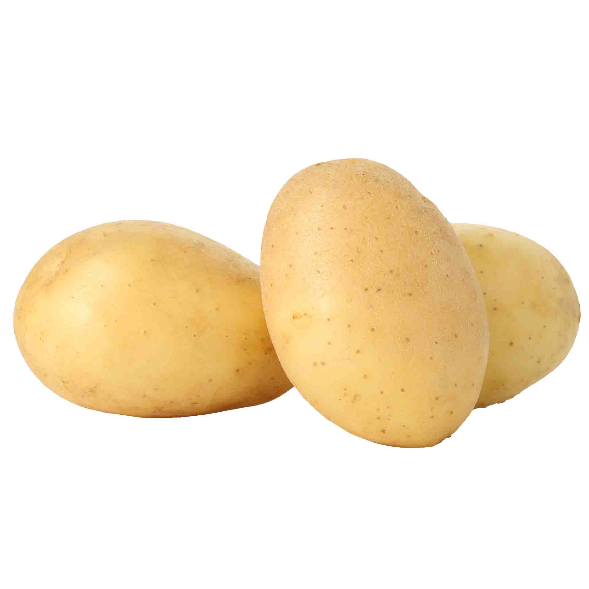 product-08